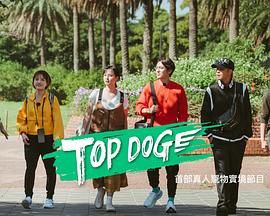 海角社区国产精伦《TOP DOG》免费在线观看