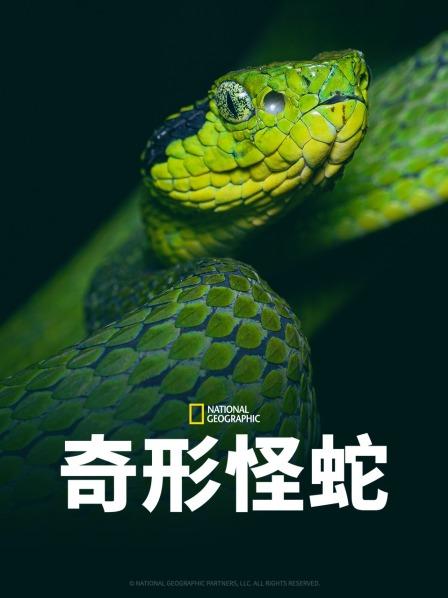 海角社区成人版《奇形怪蛇》免费在线观看